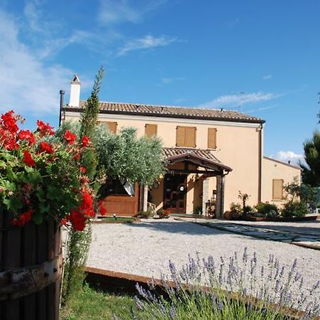Briciola Di Sole Guest House Grottammare Exterior photo