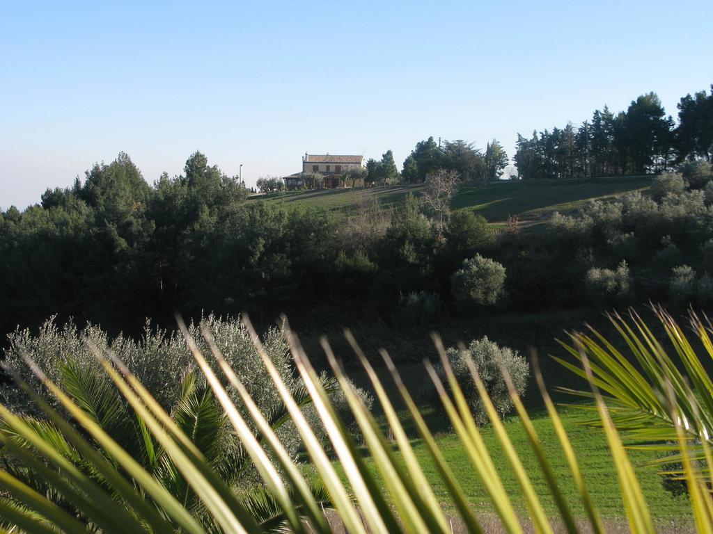 Briciola Di Sole Guest House Grottammare Exterior photo