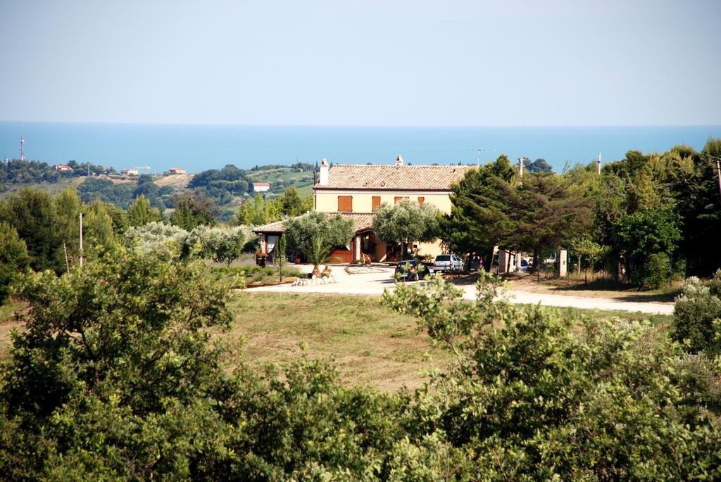 Briciola Di Sole Guest House Grottammare Exterior photo